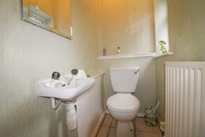 Photo 7- click for photo gallery